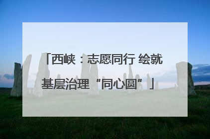 西峡：志愿同行 绘就基层治理“同心圆”