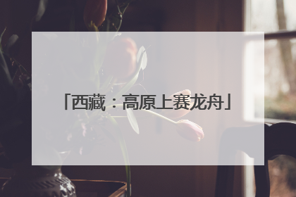 西藏：高原上赛龙舟
