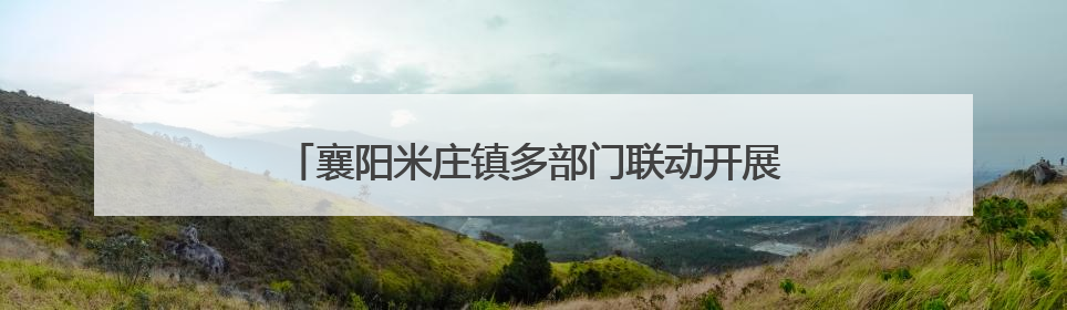 襄阳米庄镇多部门联动开展青少年药物滥用防范宣传