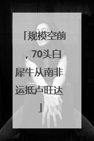 规模空前，70头白犀牛从南非运抵卢旺达