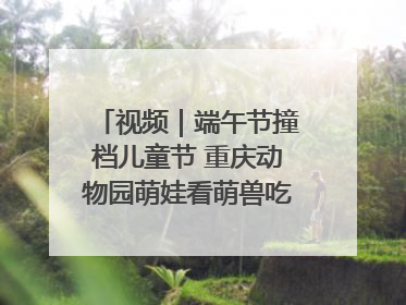 视频｜端午节撞档儿童节 重庆动物园萌娃看萌兽吃特色粽子大餐
