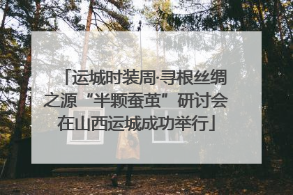 运城时装周·寻根丝绸之源“半颗蚕茧”研讨会在山西运城成功举行
