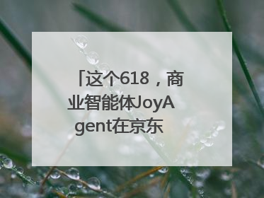 这个618，商业智能体JoyAgent在京东 “悄悄” 上线