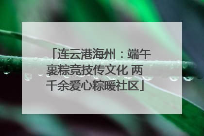 连云港海州：端午裹粽竞技传文化 两千余爱心粽暖社区