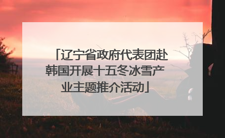 辽宁省政府代表团赴韩国开展十五冬冰雪产业主题推介活动