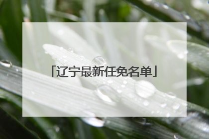辽宁最新任免名单