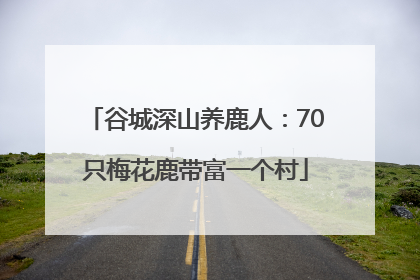 谷城深山养鹿人：70只梅花鹿带富一个村