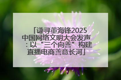 谦寻董海锋2025中国网络文明大会发声：以“三个向善”构建直播电商善意长河