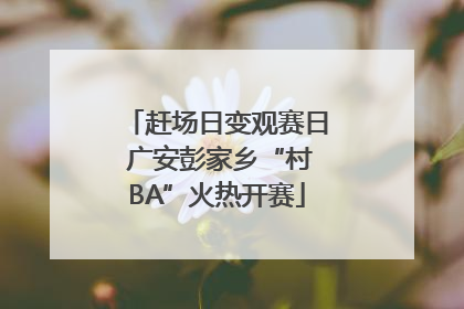 赶场日变观赛日 广安彭家乡“村BA”火热开赛