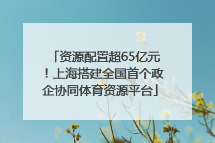 资源配置超65亿元！上海搭建全国首个政企协同体育资源平台