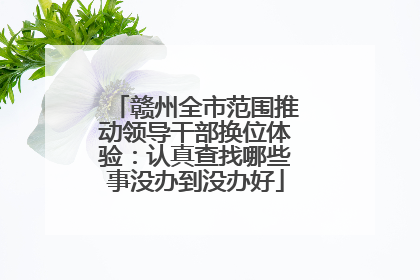 赣州全市范围推动领导干部换位体验：认真查找哪些事没办到没办好