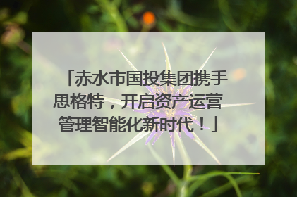 赤水市国投集团携手思格特，开启资产运营管理智能化新时代！