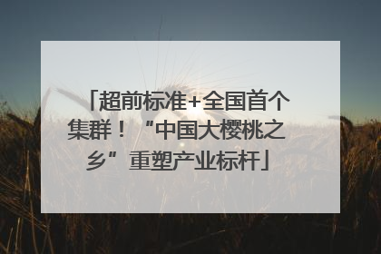 超前标准+全国首个集群！“中国大樱桃之乡”重塑产业标杆