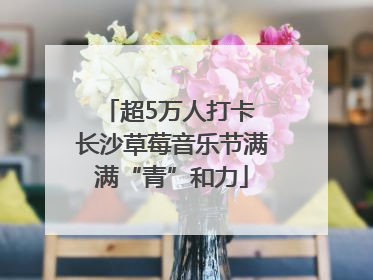 超5万人打卡 长沙草莓音乐节满满“青”和力