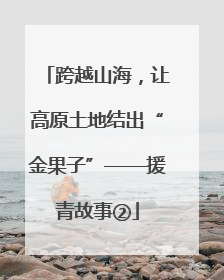 跨越山海，让高原土地结出“金果子”——援青故事②