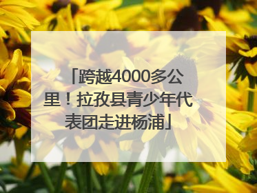 跨越4000多公里！拉孜县青少年代表团走进杨浦