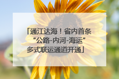 通江达海！省内首条“公路-内河-海运”多式联运通道开通