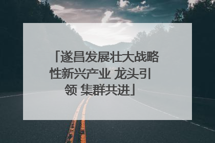 遂昌发展壮大战略性新兴产业 龙头引领 集群共进