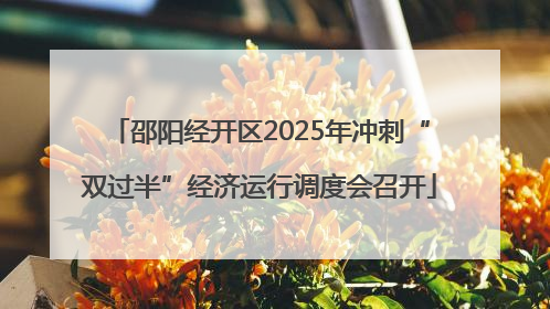 邵阳经开区2025年冲刺“双过半”经济运行调度会召开