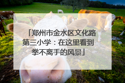 郑州市金水区文化路第三小学：在这里看到拳不离手的风景