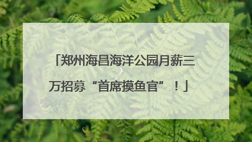郑州海昌海洋公园月薪三万招募“首席摸鱼官”！