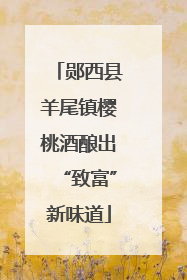 郧西县羊尾镇樱桃酒酿出“致富”新味道