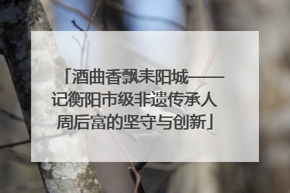 酒曲香飘耒阳城——记衡阳市级非遗传承人周后富的坚守与创新
