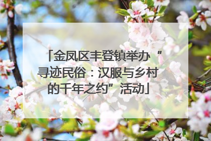 金凤区丰登镇举办“寻迹民俗：汉服与乡村的千年之约”活动