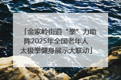 金家岭街道“拳”力助阵2025年全国老年人太极拳健身展示大联动