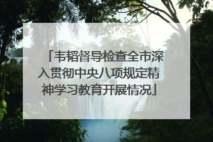 韦韬督导检查全市深入贯彻中央八项规定精神学习教育开展情况
