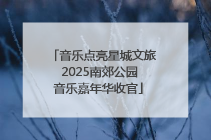 音乐点亮星城文旅 2025南郊公园音乐嘉年华收官