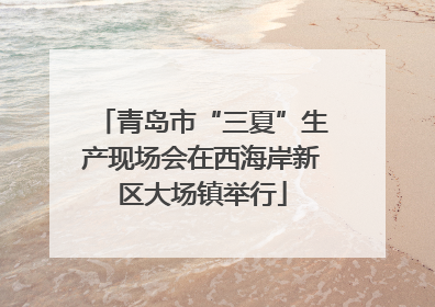 青岛市“三夏”生产现场会在西海岸新区大场镇举行