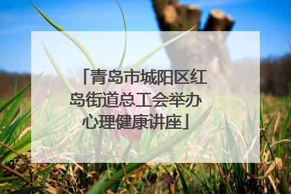青岛市城阳区红岛街道总工会举办心理健康讲座