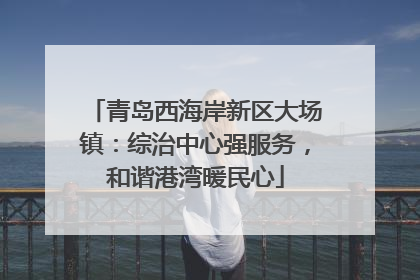 青岛西海岸新区大场镇：综治中心强服务，和谐港湾暖民心
