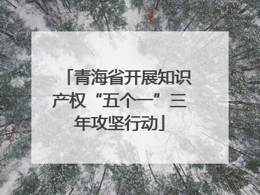 青海省开展知识产权“五个一”三年攻坚行动