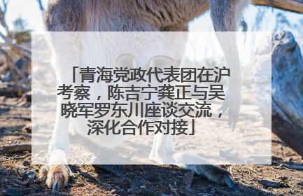青海党政代表团在沪考察，陈吉宁龚正与吴晓军罗东川座谈交流，深化合作对接
