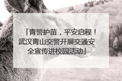 青警护苗，平安启程！武汉青山交警开展交通安全宣传进校园活动