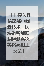 非侵入性脑深部电刺激技术、区块链智能漏洞检测系统等将亮相上交会