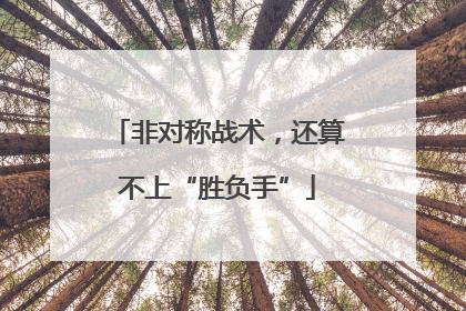非对称战术，还算不上“胜负手”