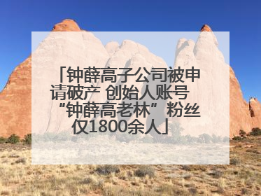钟薛高子公司被申请破产 创始人账号“钟薛高老林”粉丝仅1800余人