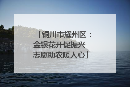 铜川市耀州区：金银花开促振兴 志愿助农暖人心