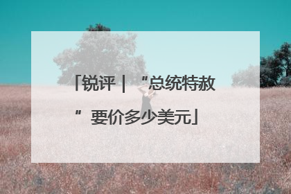 锐评｜“总统特赦”要价多少美元