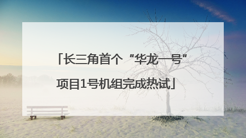 长三角首个“华龙一号”项目1号机组完成热试