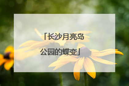 长沙月亮岛公园的蝶变