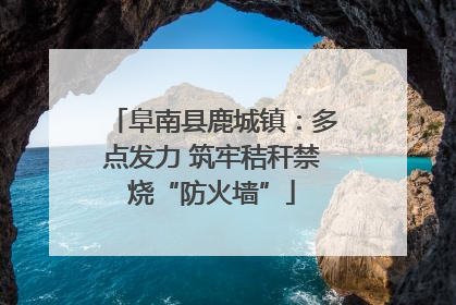 阜南县鹿城镇：多点发力 筑牢秸秆禁烧“防火墙”