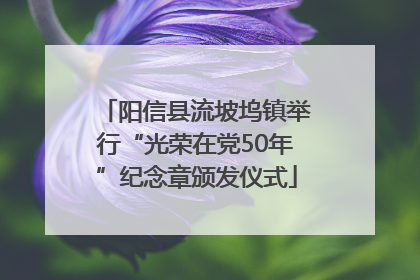 阳信县流坡坞镇举行“光荣在党50年”纪念章颁发仪式