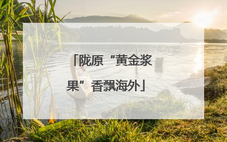 陇原“黄金浆果”香飘海外