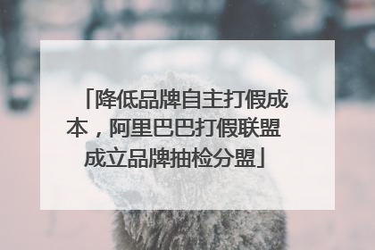 降低品牌自主打假成本，阿里巴巴打假联盟成立品牌抽检分盟