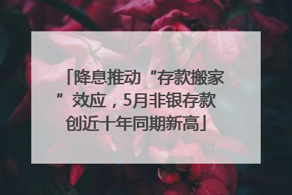 降息推动“存款搬家”效应，5月非银存款创近十年同期新高