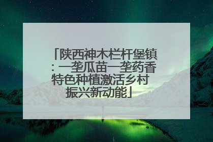 陕西神木栏杆堡镇：一垄瓜苗一垄药香 特色种植激活乡村振兴新动能